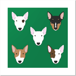 Bull Terriers Posters and Art